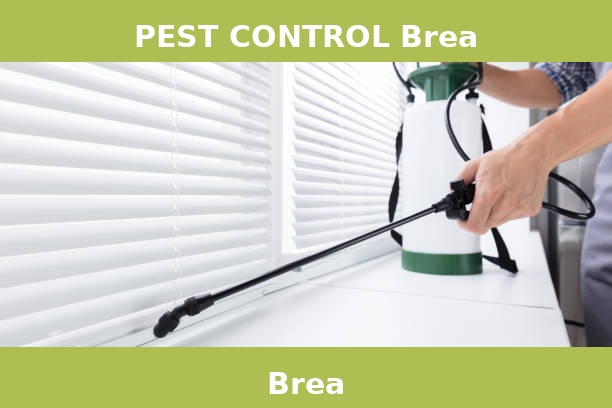 PEST CONTROL Brea